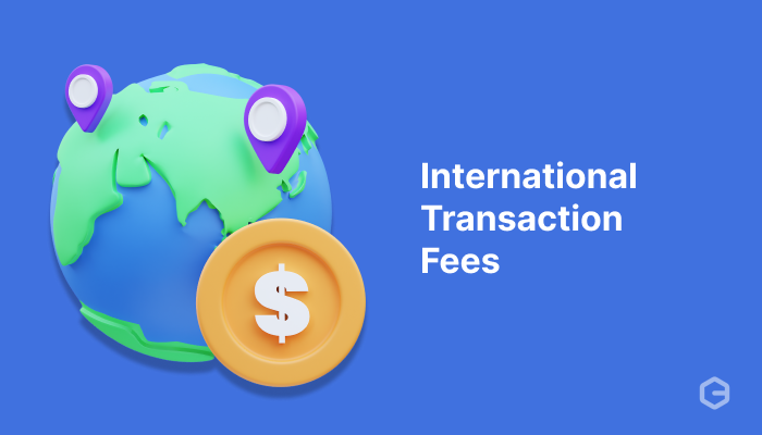 International Transaction Fees: A Business Guide