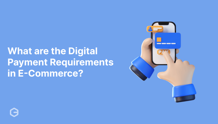 What are the digital payment requirements in e-commerce?